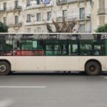 Bus Algerie