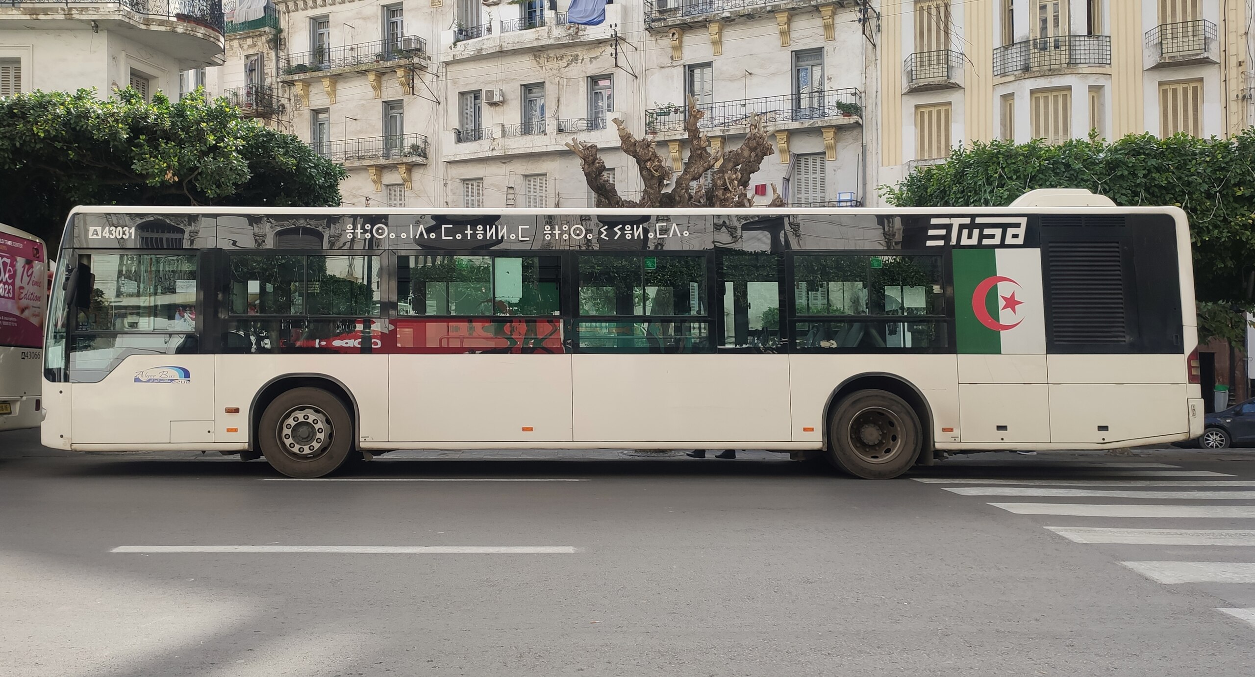 Bus Algerie